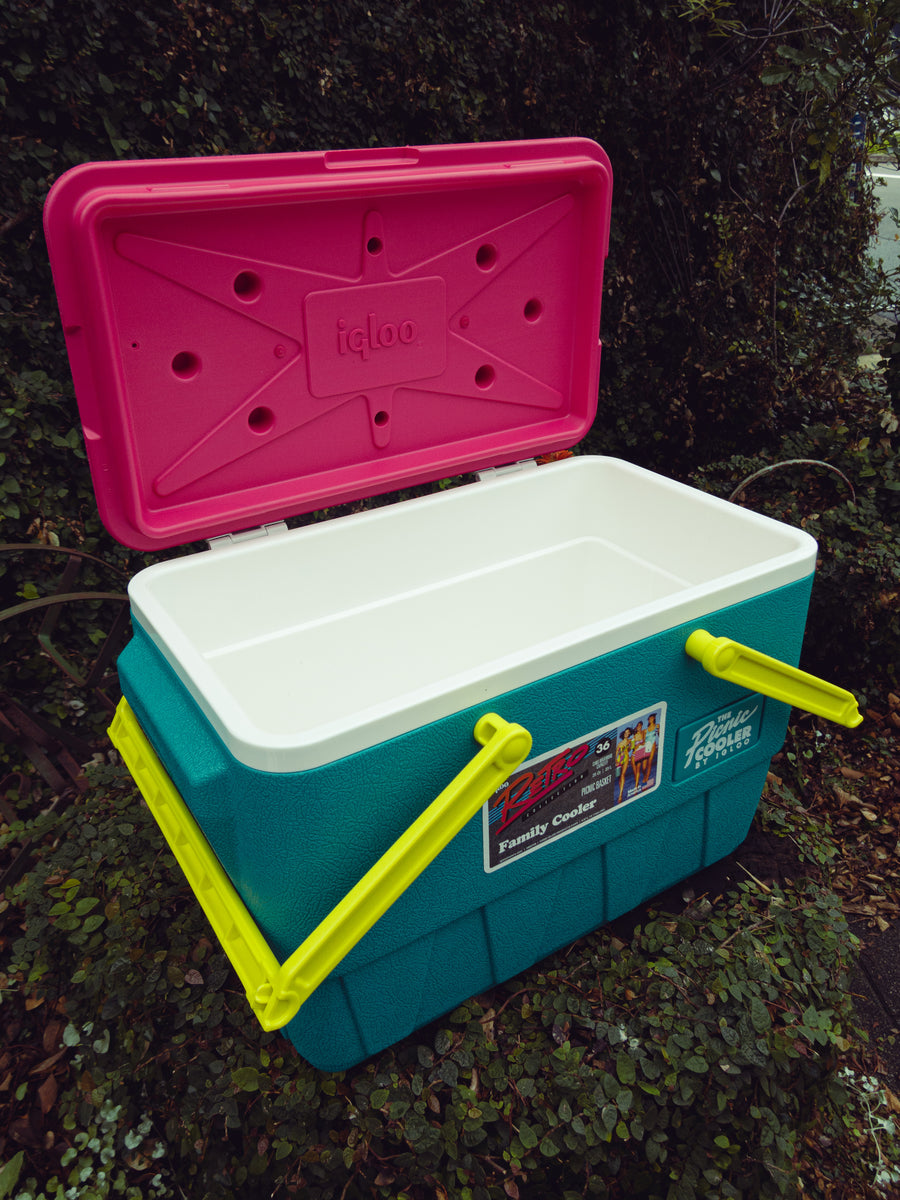 IGLOO RETRO PICNIC BASKET（クーラーボックス） – mountain mountain
