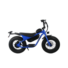 画像をギャラリービューアに読み込む, WOBIKES "WONKEY"