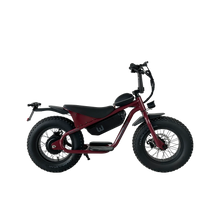 画像をギャラリービューアに読み込む, WOBIKES "WONKEY"