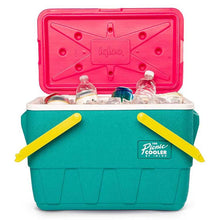 画像をギャラリービューアに読み込む, IGLOO RETRO PICNIC BASKET(クーラーボックス)