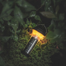 画像をギャラリービューアに読み込む, B.F.F LED LIGHT