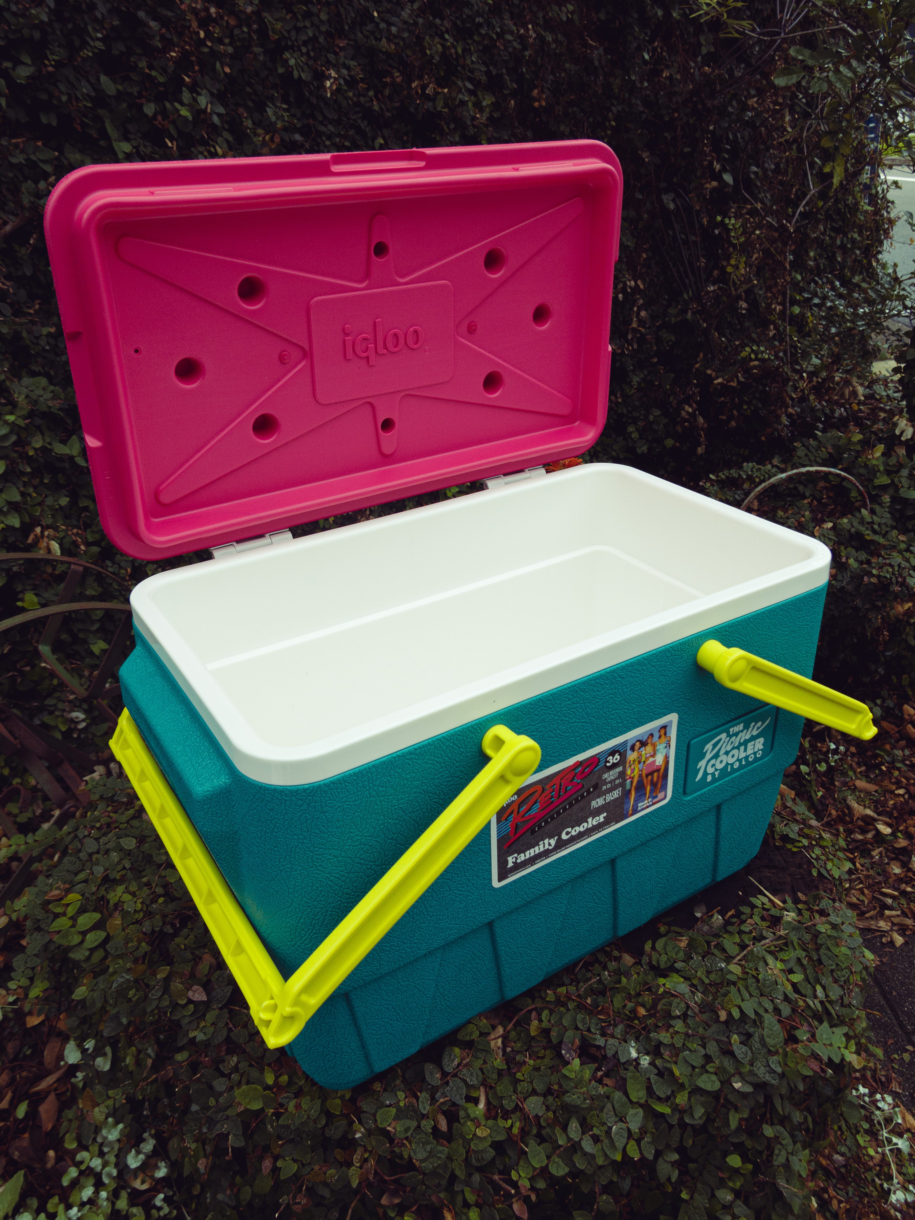 IGLOO RETRO PICNIC BASKET（クーラーボックス） – mountain