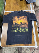 画像をギャラリービューアに読み込む, 希少！90s USA製 EAGLES イーグルス1995 ツアーTシャツ XL
